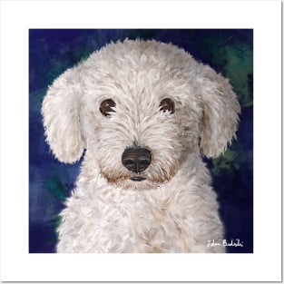 Painting of a Cute Fluffy White Maltipoo Looking at You Posters and Art